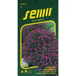 SEMO Hvozdík kropenatý Maiden pink 0,1 g