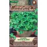 Moravoseed Petržel naťová hladká Fest…