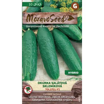 Semeno Moravoseed Okurka salátová skleníková Tolstoj F1 10 ks