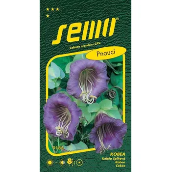Semeno SEMO Kobea vilec modrofialový Blue Bell 0,7 g