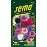 SEMO Chrpa císařská směs 1 g