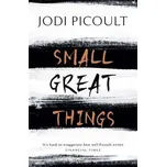 Small Great Things - Jodi Picoult (EN)