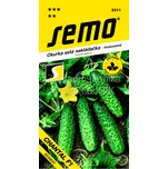 SEMO Okurka nakládačka Chantal F1 hr 2 g