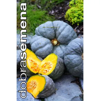 Semeno DOBRÁ SEMENA TYKEV VELKOPLODÁ - SWEET MEAT 10 s