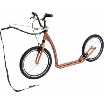 Koloběžka Recenze Kostka Twenty Max Dog G5