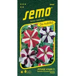 SEMO Petunie velkokvětá Star F1 30 ks