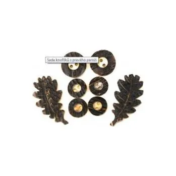 Galanterie E-myslivost Sada knoflíků z pravého paroží