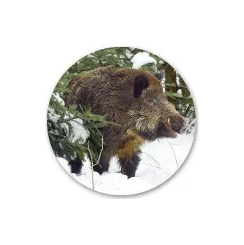 e‑myslivost.cz Pivní tácek s mysliveckým motivem - Motiv Divočák