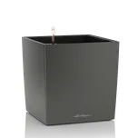 Lechuza Cube Premium 30 cm