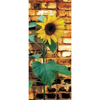 Fototapeta Vliesová fototapeta Slunečnice FTNV2841 / Fototapety na zeď, dveře 1-díl Sunflower FTNV 2841 (90 x 202cm) AG Design