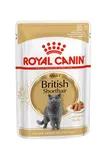 Royal Canin British Shorthair kapsička