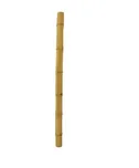 Euro Palms tyč bambusová 12 x 200 cm