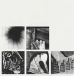 Bad Witch - Nine Inch Nails [CD]