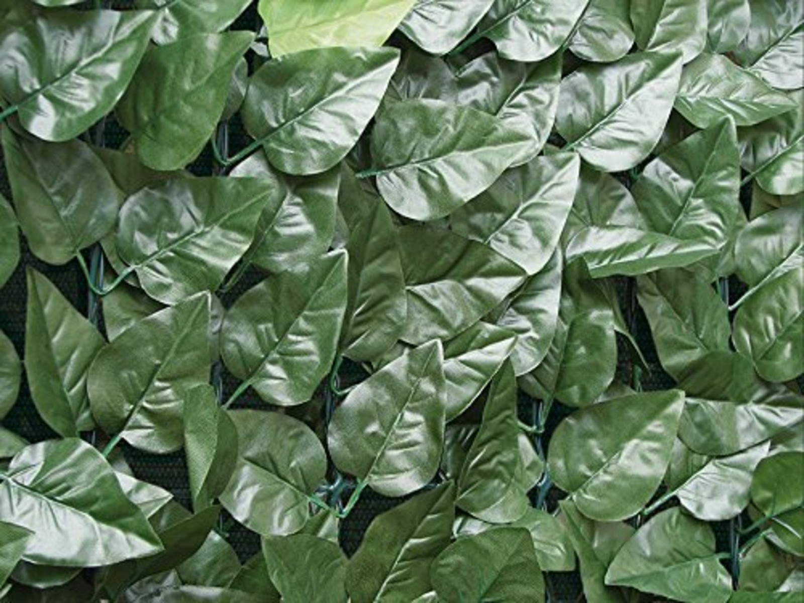 Haie Synthétique à Feuilles De Laurier Avec Un Filet Tissé