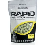 Mivardi  Rapid Easy Catch česnek 2,5 kg