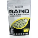 Mivardi Rapid Easy Catch česnek 1 kg