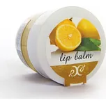 Hristina Přírodní balzám na rty citron…