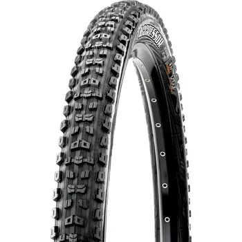 Maxxis Aggressor EXO TR MTB černá 29" x…