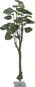 Umělá květina Europalms Pothos stromek 175 cm