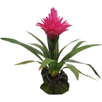 Lucky Reptile Jungle Plants Bromélie Guzmania červená 35 cm Dekorace do terária Lucky Reptile Jungle Plants Bromélie Guzmania červená 35 cm