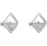 Evolution Group 11040.1