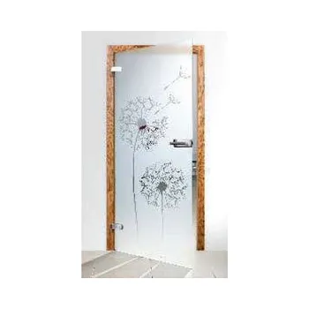 Interiérové dveře Celoskleněné dveře Stylus s dekorem VS P31N
