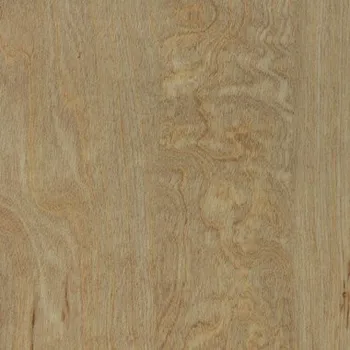 Bleached Elm SF3W2516 1m2