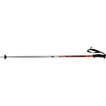 Blizzard Sport ski poles…