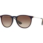 Ray-Ban RB4171 631513