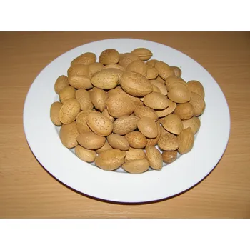 Krmivo pro ptáka Manitoba Mandle 500 g