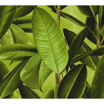 Tapeta Vliesové tapety A.S. Création Neue Bude 2.0 36201-1, tapeta na zeď 362011, (10,05 x 0,53 m)