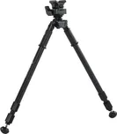 Vanguard Equalizer 2QS