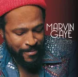 Collected - Marvin Gaye [2LP]