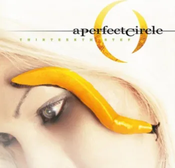 Zahraniční hudba Thirteenth Step - A Perfect Circle [2 LP]