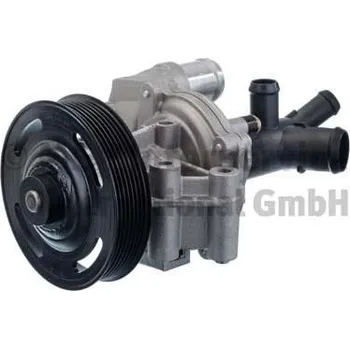 Chladič motoru Vodní čerpadlo, chlazení motoru PIERBURG 7.02676.02.0