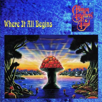 Zahraniční hudba Where It All Begins - Allman Brothers Band [2LP]