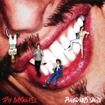 Zahraniční hudba Pinewood Smile - The Darkness [LP]