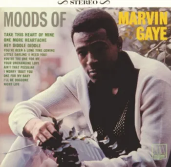 Zahraniční hudba Moods Of Marvin Gaye - Marvin Gaye [LP]