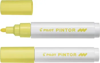 Pilot Pintor Marker Medium
