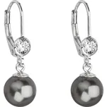 Evolution Group 31196.3 grey