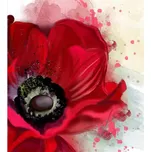 DIMEX MS-3-0150 225 x 250 cm