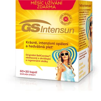 GS Intensun GS Intensun