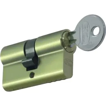 Příslušenství pro plot FAC PZ vložka, l=54 mm se 2 klíči