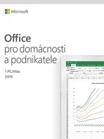 počítač Microsoft Office 2019 pro domácnosti a podnikatele CZ