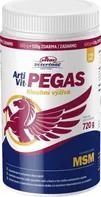 VITAR Veterinae Artivit Pegas MSM 720 g