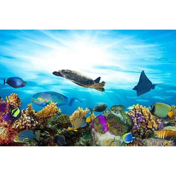 Fototapeta DIMEX MS-5-0216 375 x 250 cm ryby v oceánu