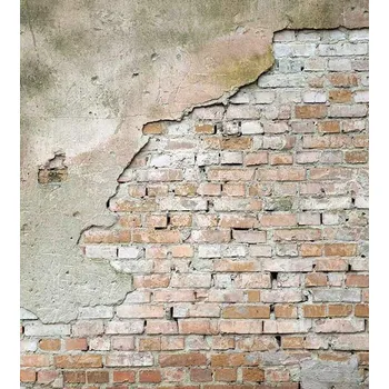 DIMEX MS-3-0187 225 x 250 cm, oprýskaná zeď 