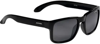 Sluneční brýle Alpina Mitzo