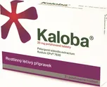 Kaloba 20 mg 21 tbl.