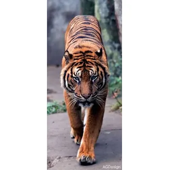 Fototapeta vliesová tygr 90x202cm FTN V 2800